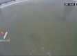 VIDEO: El aterrorizante momento en que una suarfista es acorralada por tiburones