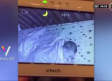 VIDEO: Extraño ser vigila a bebé en su cuna