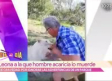 Hombre es mordido por leona tras acariciarla en un parque