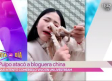 Blogger china intenta comerse un pulpo vivo y este la ataca