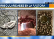 Venta de especies exóticas, negligencias de veterinarios y corrupción: irregularidades de La Pastora
