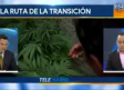 Legalizan uso de la mariguana en México