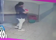 Mujer finge ser enfermera y se roba a bebé en una mochila