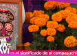 ¿Cuál es el significado de la flor de cempasúchil el 'Día de Muertos'?