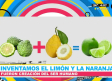 El limón y la naranja no son creaciones naturales