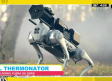 El Thermonator un perro fuera de serie
