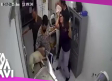 Mujer agrede a otra en veterinaria por no salvar a su perrito