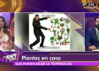 Las Rapiditas - 23 de Abril del 2025
