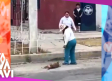 Captan a mujer maltratando a perrito
