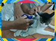 Gato que ¿trafica drogas?