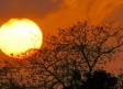 Este es el día en que comienza el verano 2025 en México