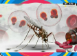 ¿Cómo un mosquito te pasa la Malaria?