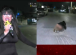 Robertita sufre sensual accidente con bache