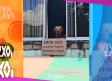 Perrito se hace viral por su reacción al gritar su nombre