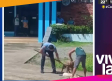 Perro finge estar 'muerto' para no ser atacado por otro