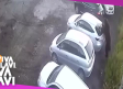 Oso sorprende a hombres en estacionamiento