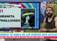Conoce la lista de los hongos más letales
