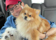 Pepillo Origel manda indirecta a Pedro Sola por polémica sobre perros