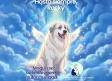 Laura Bozzo exige justicia por el perrito Rocky