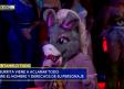 'Momo' tiene problemas legales por usar a 'La Burrita'