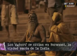 Los Aghori la secta con los rituales más raros del mundo