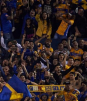 ¿Cómo identificar a un aficionado soberbio de Tigres?