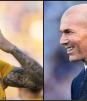 Hoy cumple años el ídolo de Gignac: Zinedine Zidane