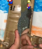 De esta manera hombre crea su propio juego de Súper Mario