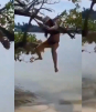 VIDEO: Mujer intenta bajarse de un árbol; se hace “calzón chino” extremo