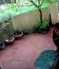 Perro ataca a hombre para evitar secuestro de niña a pesar de los disparos que recibió
