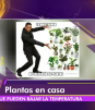Las Rapiditas - 23 de Abril del 2025