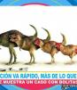 La evolución va más rapido de lo que pensabas