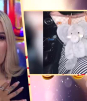 Tamara Fuentes anuncia la pérdida de su bebé