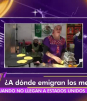 Las Rapiditas - 18 de Agosto del 2025