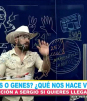 La bola del 6 - 20 de Agosto del 2025