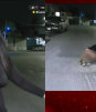 Robertita sufre sensual accidente con bache