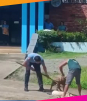 Perro finge estar 'muerto' para no ser atacado por otro