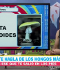 Conoce la lista de los hongos más letales
