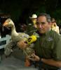 'El Pato' entra al 'Rey del Asador'
