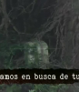 ¿Hay tumbas en el bosque de Chapultepec?