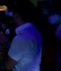 Pollo recibe cariño de la gente