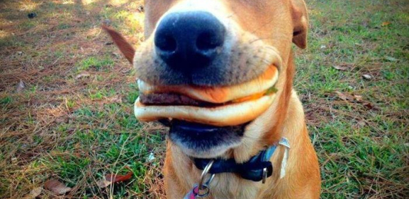 Mujer golpea a su hija por comerse la hamburguesa del perro
