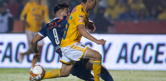 Tigres vs. Puebla