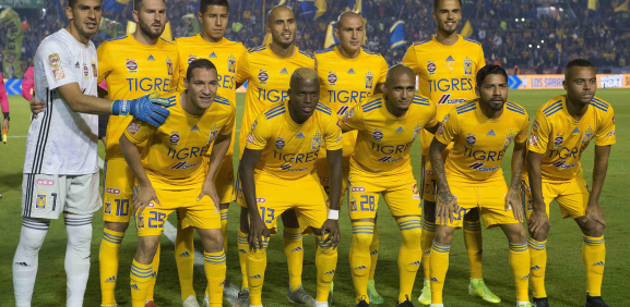 Tigres 