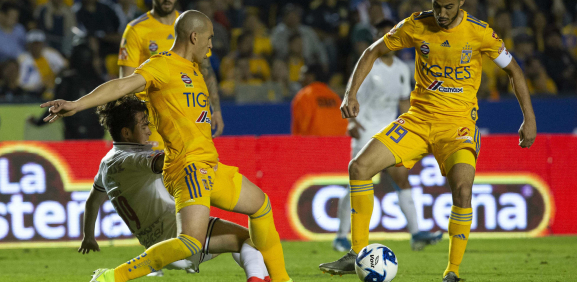 Tigres