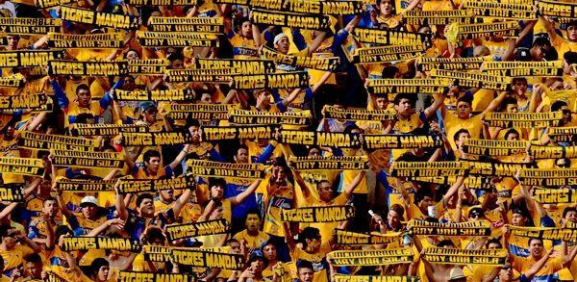 Aficionados Tigres  