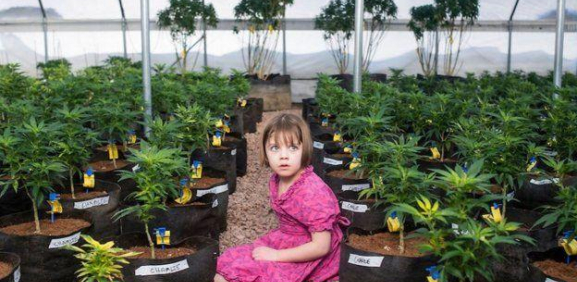 Muere por coronavirus la niña que cambió la forma de ver la marihuana en el mundo