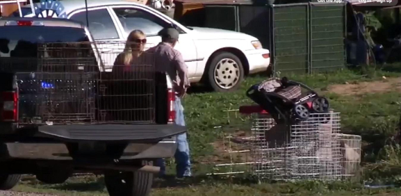 VIDEO: Bebé rescatado se encontraba en jaula, rodeado de animales y drogas