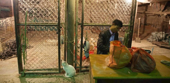 En China fueron cerrados los todos los mercados donde se venden aves vivas