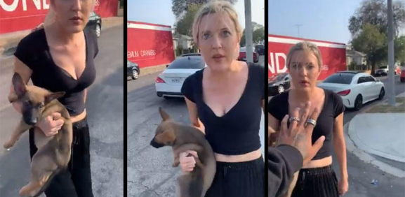 Mujer 'racista' discute con un hombre y le arroja encima un perro 